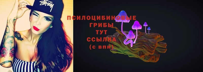 Псилоцибиновые грибы Magic Shrooms Белоярский